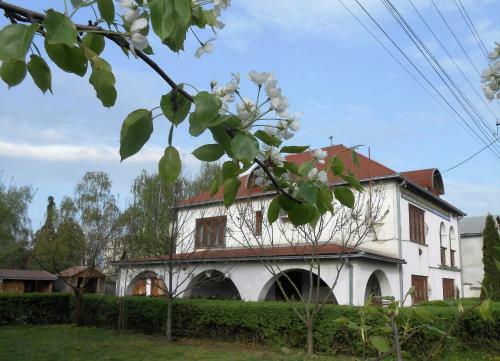 Hostal Guest House Marketti