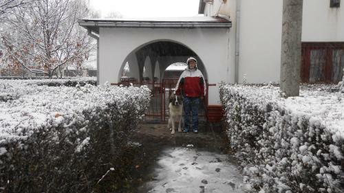 Hostal Guest House Marketti