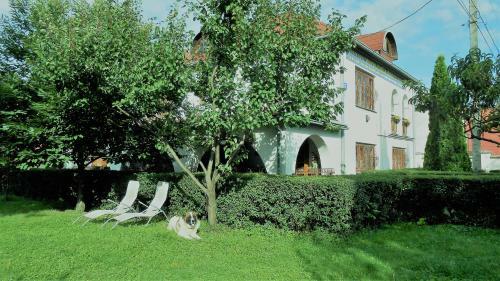 Hostal Guest House Marketti