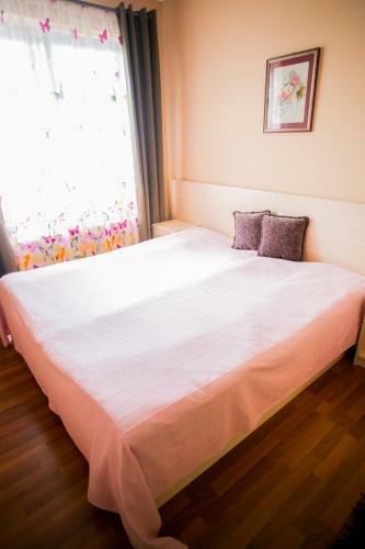 Tulpan Hotel