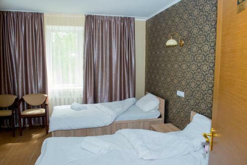 Hotel Druzhba