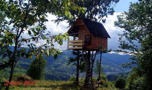 Hostal Rakhiv Plai