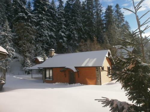 Lodge U Bobra