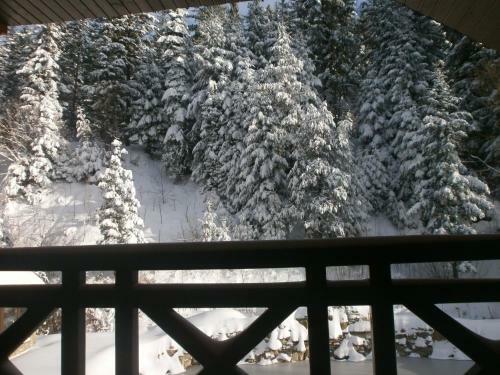 Lodge U Bobra