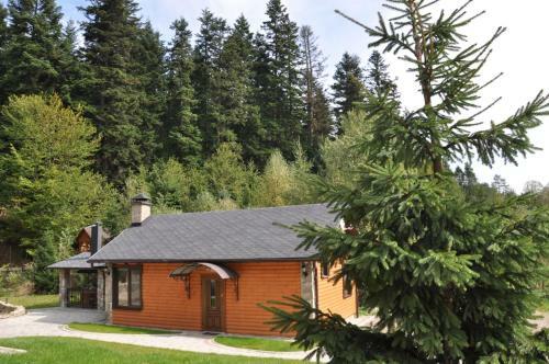 Lodge U Bobra