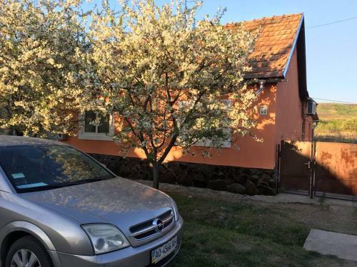 Villa Sadyba U Mykhaila
