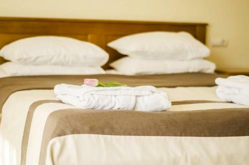 Hotel Bogolvar Eco Resort & Spa