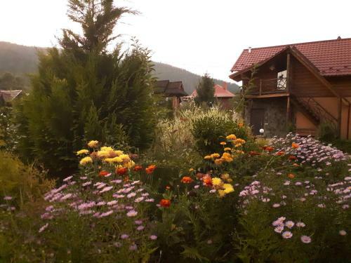 Agroturismo Vodoliy