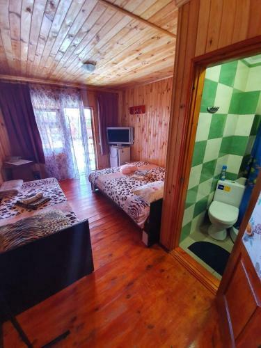 Hostal Guesthouse U Eleny