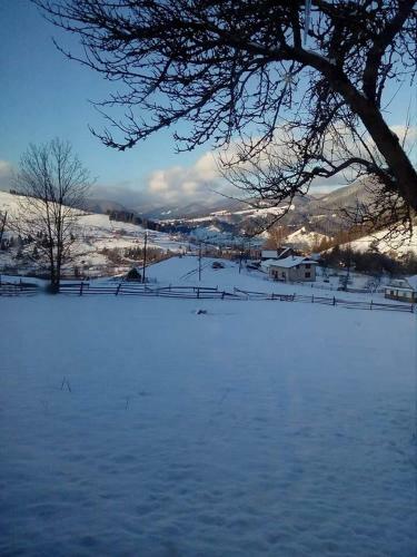 Hostal Pid Yasenem