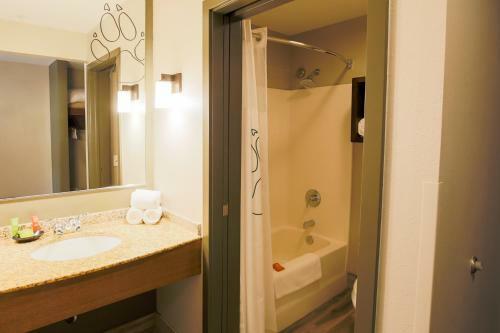 Hotel Great Wolf Lodge Chicago/gurnee