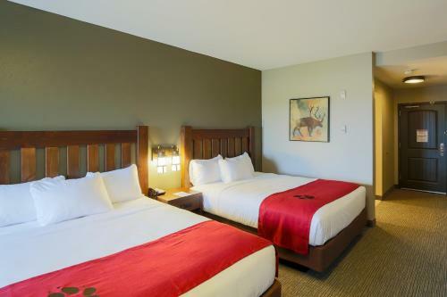 Hotel Great Wolf Lodge Chicago/gurnee