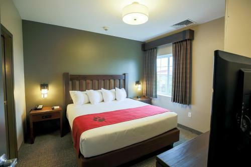 Hotel Great Wolf Lodge Chicago/gurnee