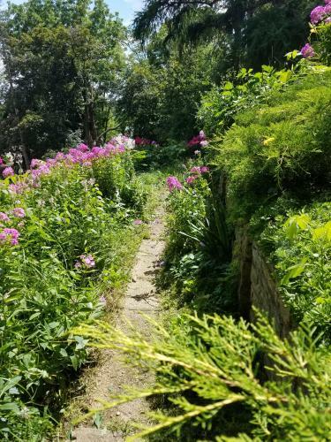 Contented Cottage Bed And Breakfast