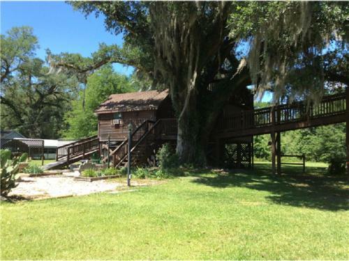 Bed & Breakfast Berry Creek Cabins