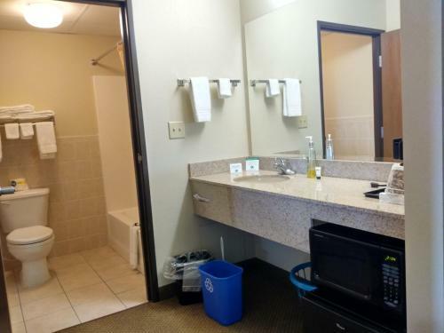 Madelia Hotel & Suites