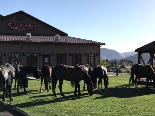 Hotel Silverland Inn & Suites