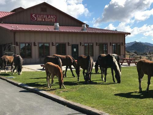 Hotel Silverland Inn & Suites