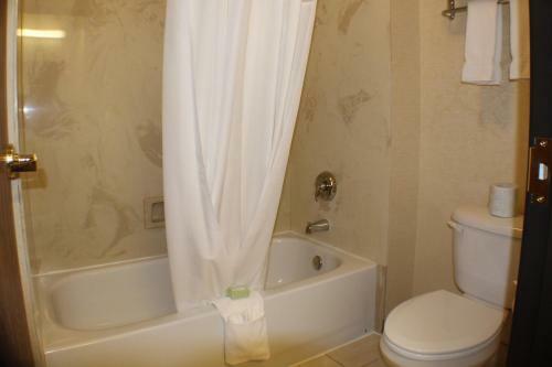 Hotel Silverland Inn & Suites