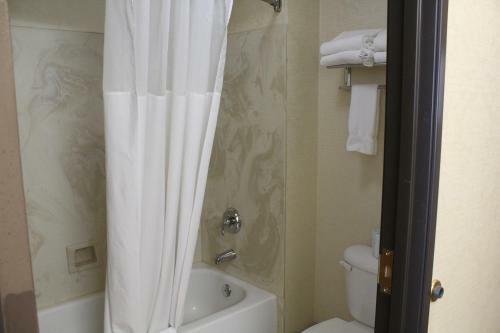 Hotel Silverland Inn & Suites