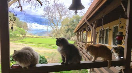 Bed & Breakfast Rustridge Ranch & Winery