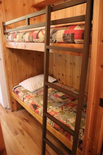 Hotel Lone Fir Resort
