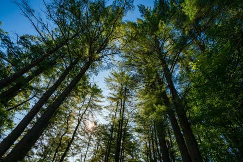 Adirondack Gateway Rv Resort And Campground