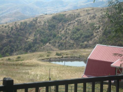 Rural Log Home