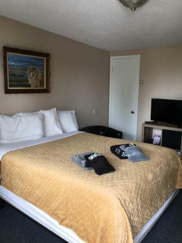 Motel Big Bear Lodge