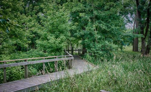 Hotel Maumee Bay State Park Lodge