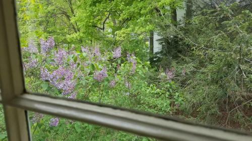 Centennial House Bed And Breakfast