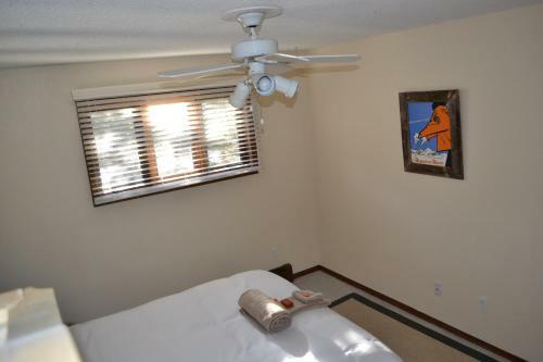 The Mountaineer Hostel