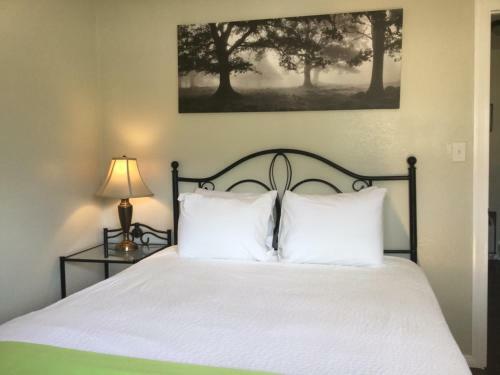 Olancha Rv Park And Motel