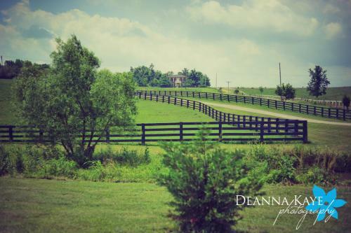 Historic Maple Hill Manor Bed & Breakfast