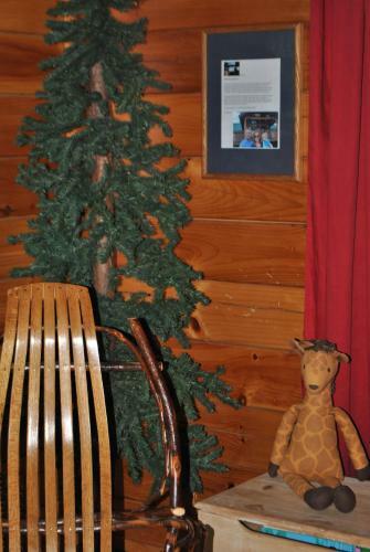 Far Horizon Cabin