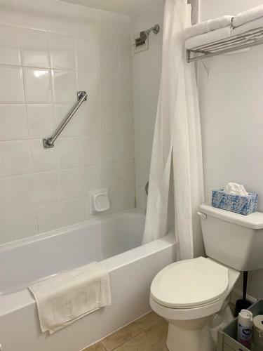 Apartamento Oceanfront Studio