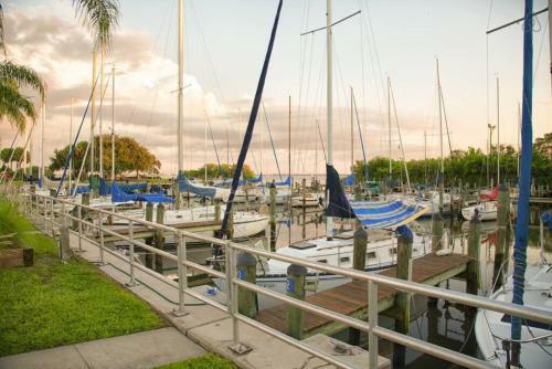 Casa Blue Safety Harbor