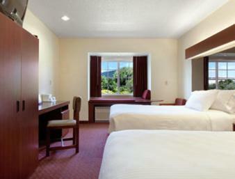 Hotel Microtel Inn & Suites By Wyndham Hamburg