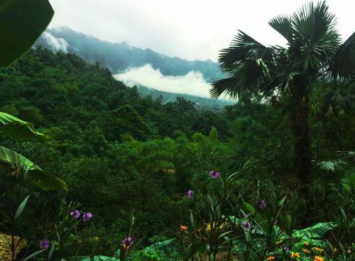 Lodge Mai Chau Palm House