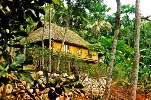 Lodge Mai Chau Palm House