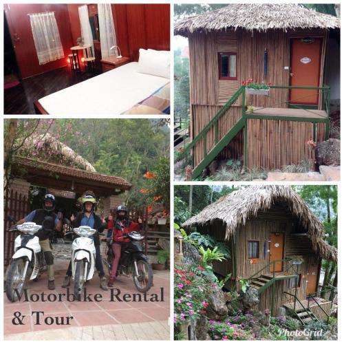 Bed & Breakfast Green Hill Hostel & Tour