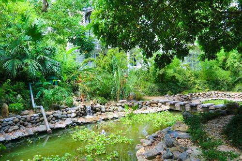 Van Son Garden - Homestay