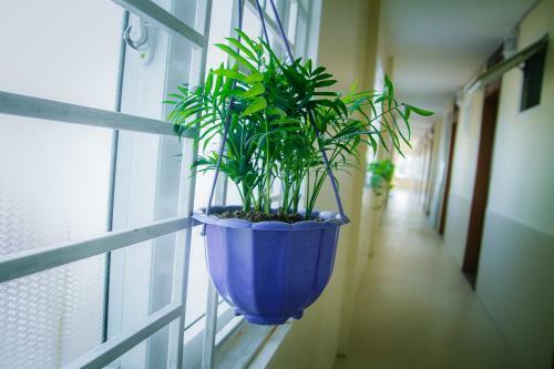 Motel Phuong Phuong 2 Hotel