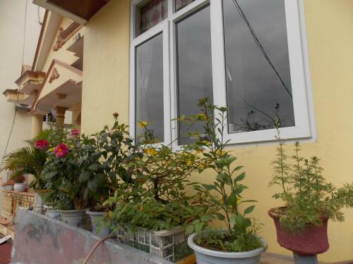Hotel Rose Poshtel