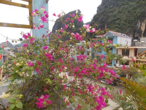 Hotel Rose Poshtel