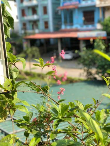 Hotel Rose Poshtel