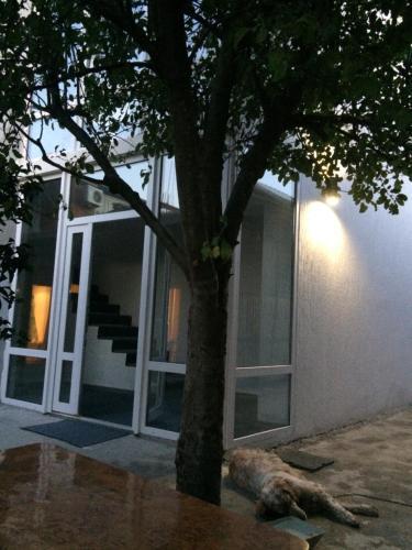 Hostal Guest House Abazgaa32