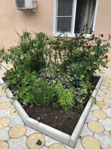 Hostal Guest House Inga