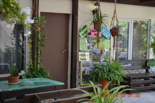 Hostal U Palycha Guest House