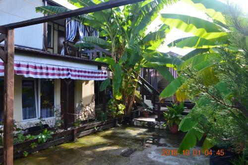 Hostal U Palycha Guest House